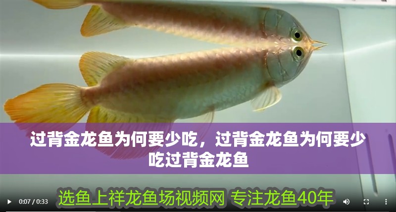過(guò)背金龍魚為何要少吃，過(guò)背金龍魚為何要少吃過(guò)背金龍魚