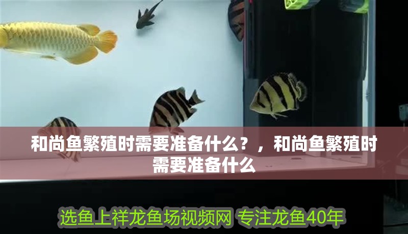和尚魚繁殖時需要準備什么？，和尚魚繁殖時需要準備什么