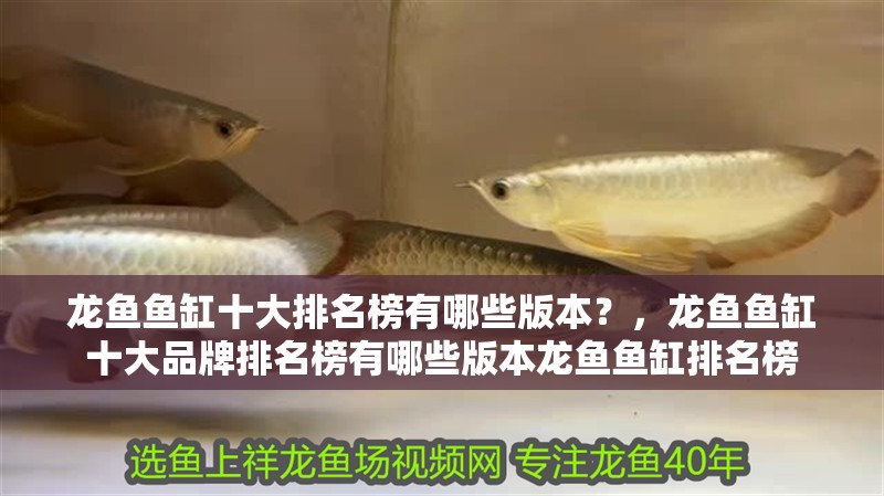 龍魚魚缸十大排名榜有哪些版本？，龍魚魚缸十大品牌排名榜有哪些版本龍魚魚缸排名榜