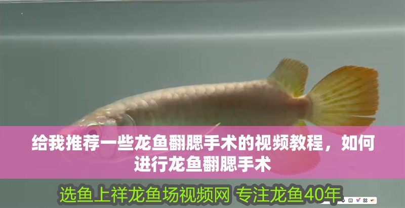 給我推薦一些龍魚翻腮手術的視頻教程，如何進行龍魚翻腮手術