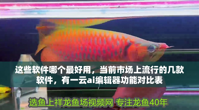 這些軟件哪個最好用，當前市場上流行的幾款軟件，有一云ai編輯器功能對比表