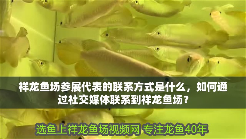 祥龍魚場參展代表的聯系方式是什么，如何通過社交媒體聯系到祥龍魚場？