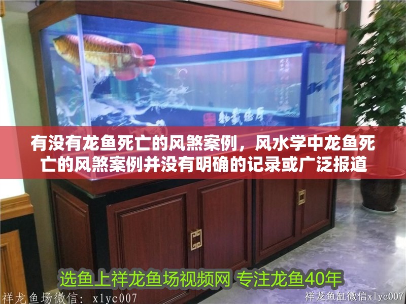 有沒有龍魚死亡的風煞案例，風水學中龍魚死亡的風煞案例并沒有明確的記錄或廣泛報道