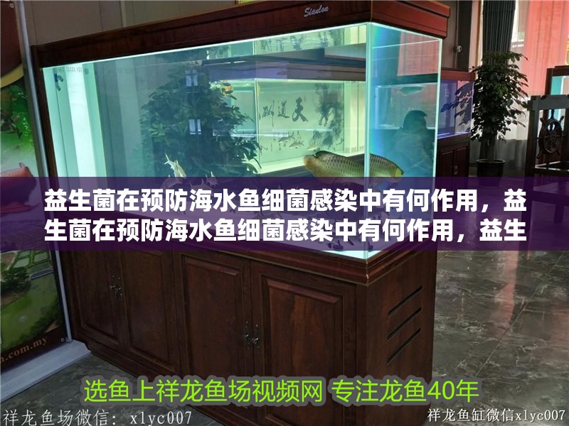 益生菌在預(yù)防海水魚細(xì)菌感染中有何作用，益生菌在預(yù)防海水魚細(xì)菌感染中有何作用，益生菌在預(yù)防中的作用