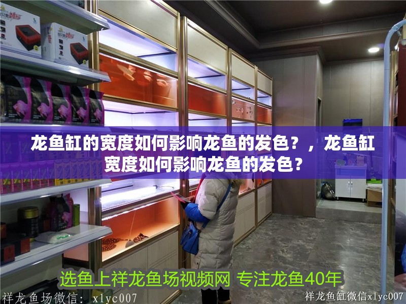 龍魚缸的寬度如何影響龍魚的發色？，龍魚缸寬度如何影響龍魚的發色？