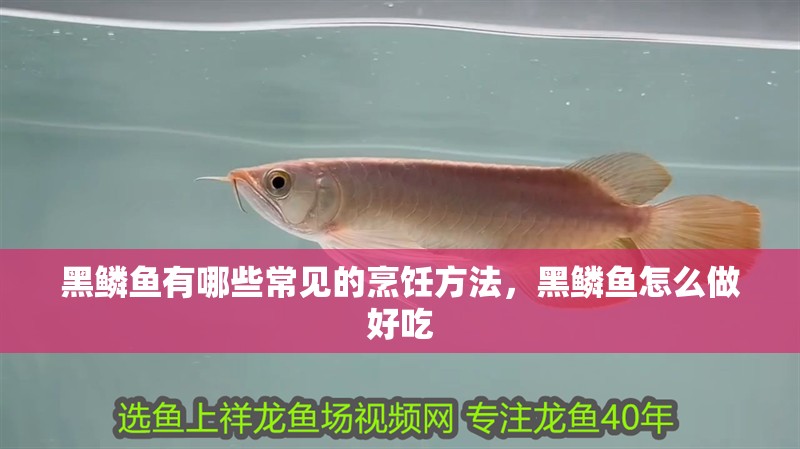 黑鱗魚有哪些常見的烹飪方法,黑鱗魚怎么做好吃
