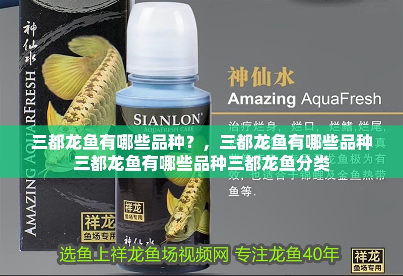 三都龍魚有哪些品種？，三都龍魚有哪些品種三都龍魚有哪些品種三都龍魚分類