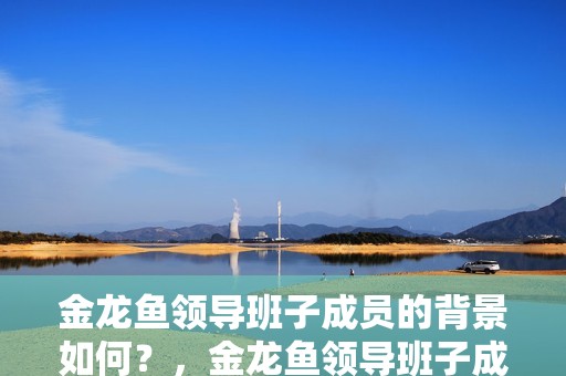 金龍魚領導班子成員的背景如何？，金龍魚領導班子成員的背景