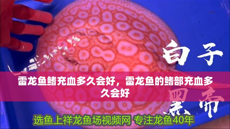 雷龍魚鰭充血多久會好，雷龍魚的鰭部充血多久會好