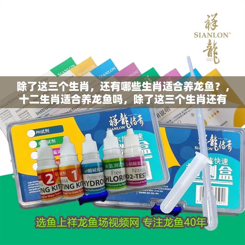 除了這三個生肖，還有哪些生肖適合養龍魚？，十二生肖適合養龍魚嗎，除了這三個生肖還有哪些生肖