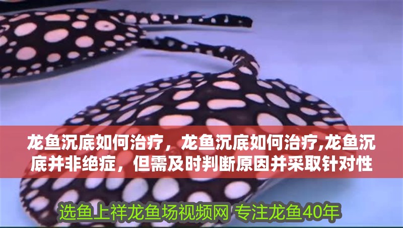 龍魚沉底如何治療，龍魚沉底如何治療,龍魚沉底并非絕癥，但需及時判斷原因并采取針對性措施