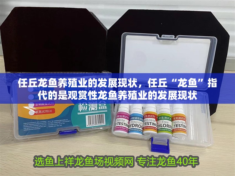 任丘龍魚養殖業的發展現狀，任丘“龍魚”指代的是觀賞性龍魚養殖業的發展現狀