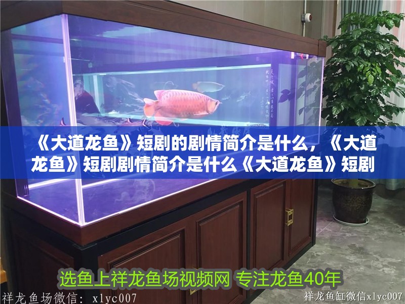 《大道龍魚》短劇的劇情簡介是什么，《大道龍魚》短劇劇情簡介是什么《大道龍魚》短劇的制作團隊是誰