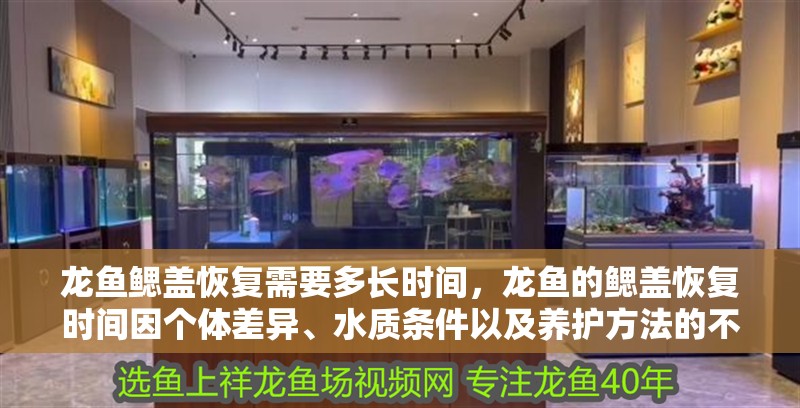 龍魚鰓蓋恢復(fù)需要多長時間，龍魚的鰓蓋恢復(fù)時間因個體差異、水質(zhì)條件以及養(yǎng)護(hù)方法的不同而有所變化