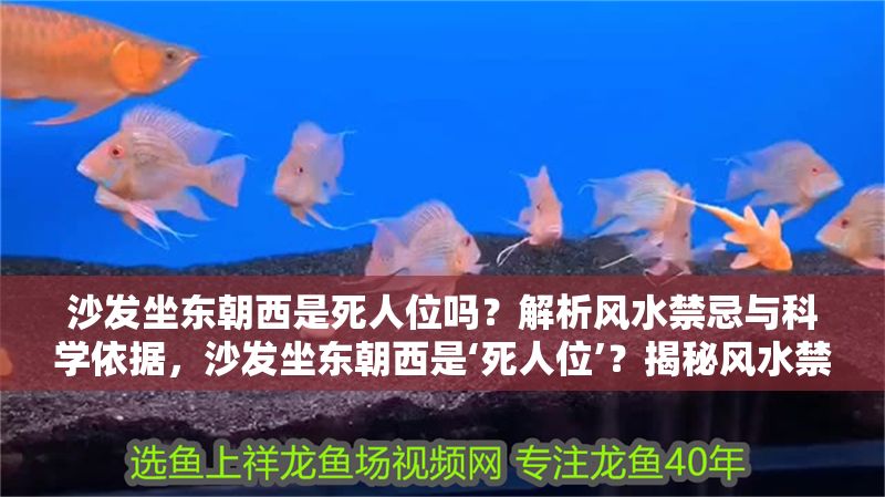 沙發坐東朝西是死人位嗎？解析風水禁忌與科學依據，沙發坐東朝西是‘死人位’？揭秘風水禁忌背后的真相與科學依據