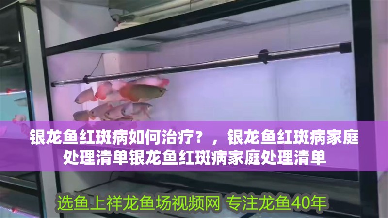 銀龍魚紅斑病如何治療？，銀龍魚紅斑病家庭處理清單銀龍魚紅斑病家庭處理清單