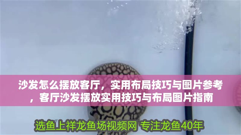沙發怎么擺放客廳，實用布局技巧與圖片參考，客廳沙發擺放實用技巧與布局圖片指南