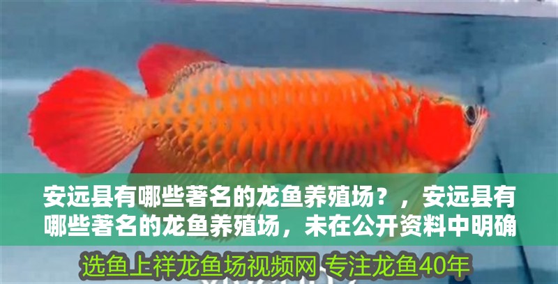 安遠縣有哪些著名的龍魚養殖場？，安遠縣有哪些著名的龍魚養殖場，未在公開資料中明確標注為“龍魚”養殖基地