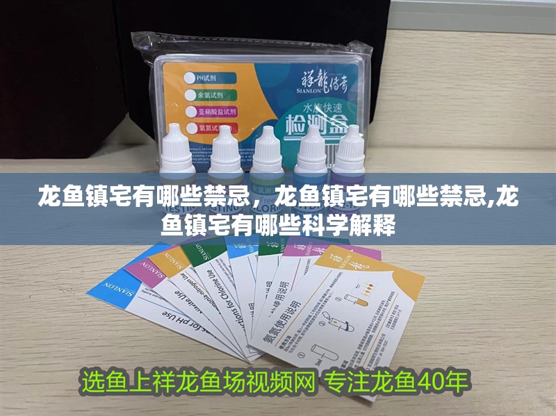 龍魚鎮宅有哪些禁忌,龍魚鎮宅有哪些禁忌,龍魚鎮宅有哪些科學解釋
