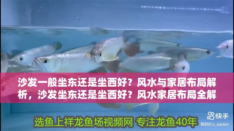 沙發一般坐東還是坐西好？風水與家居布局解析，沙發坐東還是坐西好？風水家居布局全解析