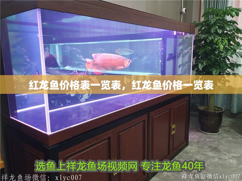 紅龍魚價格表一覽表，紅龍魚價格一覽表
