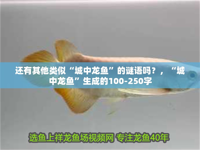 還有其他類似“城中龍魚”的謎語嗎？，“城中龍魚”生成的100-250字