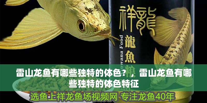 雷山龍魚有哪些獨(dú)特的體色？，雷山龍魚有哪些獨(dú)特的體色特征