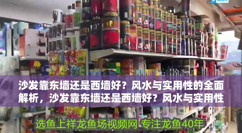 沙發(fā)靠東墻還是西墻好？風(fēng)水與實用性的全面解析，沙發(fā)靠東墻還是西墻好？風(fēng)水與實用性的全面解析