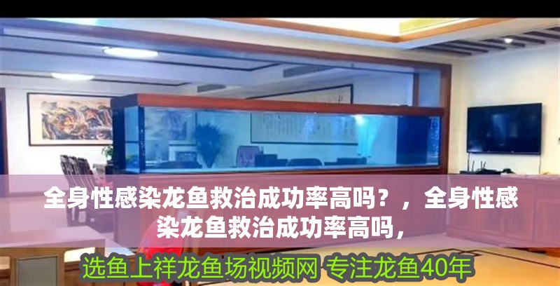 全身性感染龍魚救治成功率高嗎？，全身性感染龍魚救治成功率高嗎，