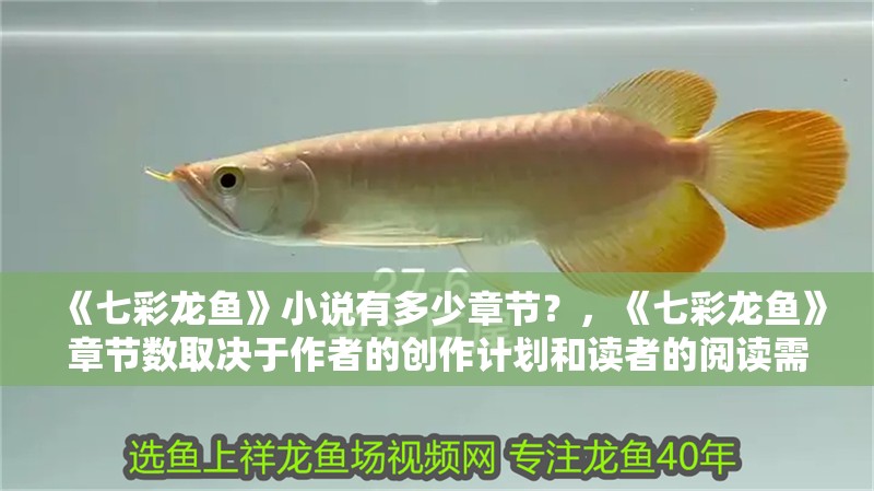 《七彩龍魚》小說有多少章節？，《七彩龍魚》章節數取決于作者的創作計劃和讀者的閱讀需求