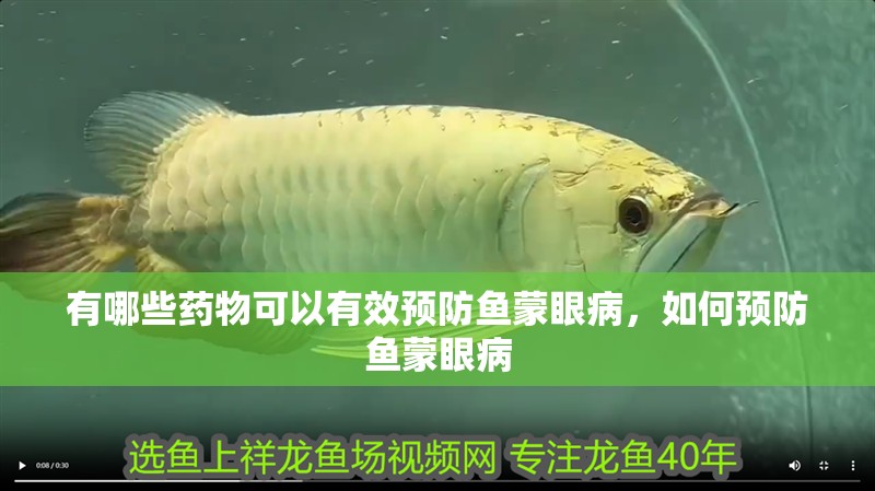 有哪些藥物可以有效預防魚蒙眼病，如何預防魚蒙眼病