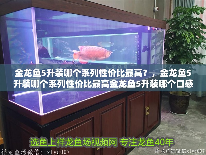金龍魚5升裝哪個系列性價比最高？，金龍魚5升裝哪個系列性價比最高金龍魚5升裝哪個口感最好