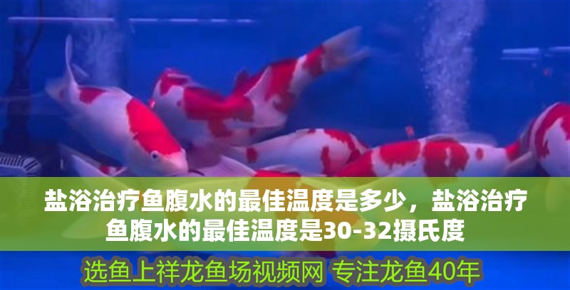 鹽浴治療魚腹水的最佳溫度是多少，鹽浴治療魚腹水的最佳溫度是30-32攝氏度