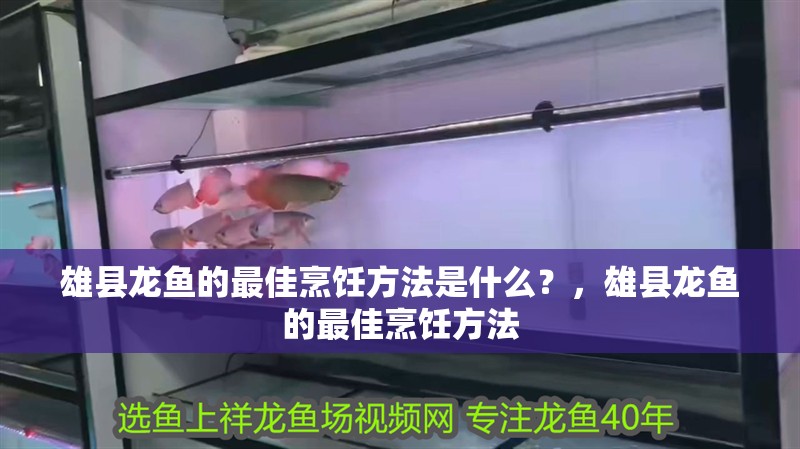 雄縣龍魚的最佳烹飪方法是什么？，雄縣龍魚的最佳烹飪方法