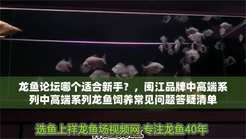 龍魚論壇哪個適合新手？，閩江品牌中高端系列中高端系列龍魚飼養常見問題答疑清單