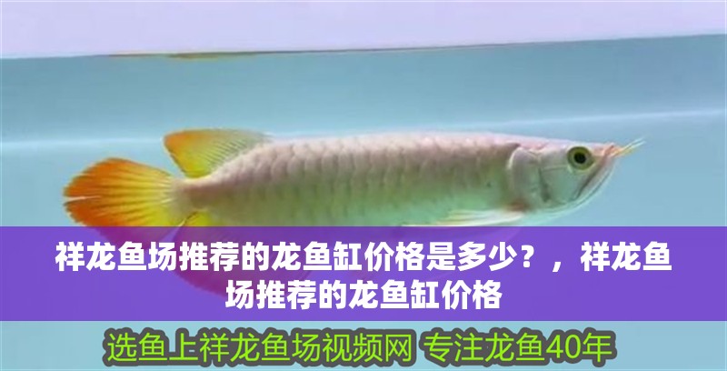 祥龍魚場推薦的龍魚缸價格是多少?,祥龍魚場推薦的龍魚缸價格