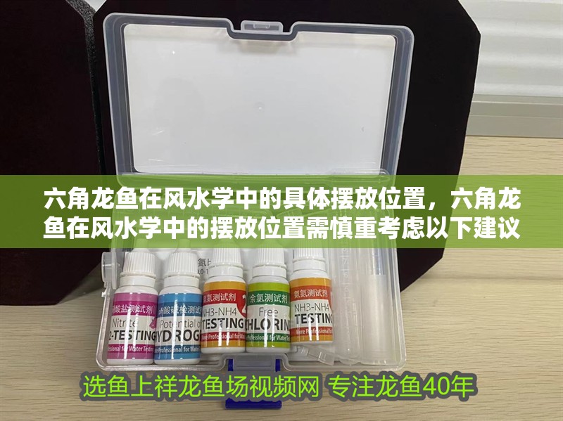 六角龍魚在風水學中的具體擺放位置，六角龍魚在風水學中的擺放位置需慎重考慮以下建議