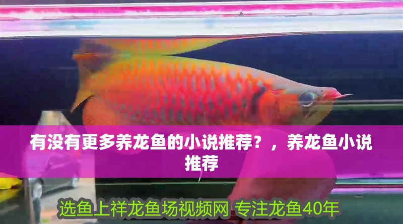 有沒有更多養龍魚的小說推薦？，養龍魚小說推薦