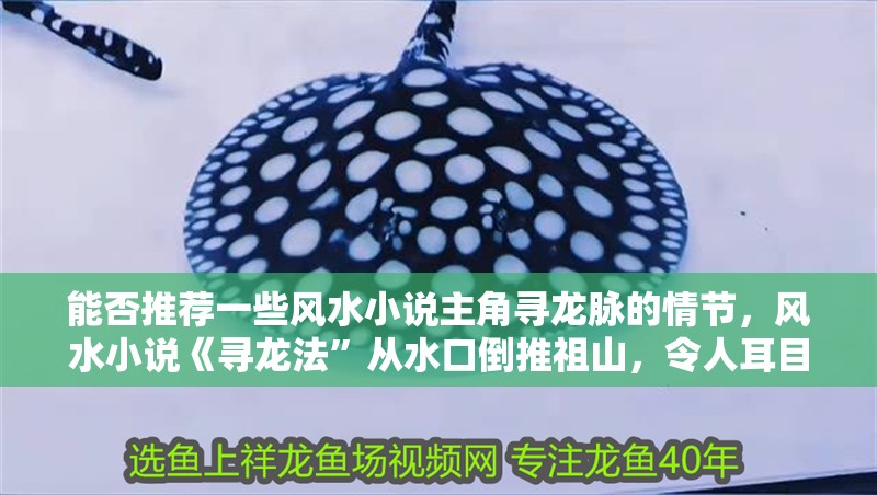 能否推薦一些風水小說主角尋龍脈的情節，風水小說《尋龍法”從水口倒推祖山，令人耳目一新