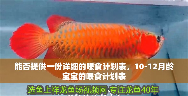 能否提供一份詳細的喂食計劃表，10-12月齡寶寶的喂食計劃表