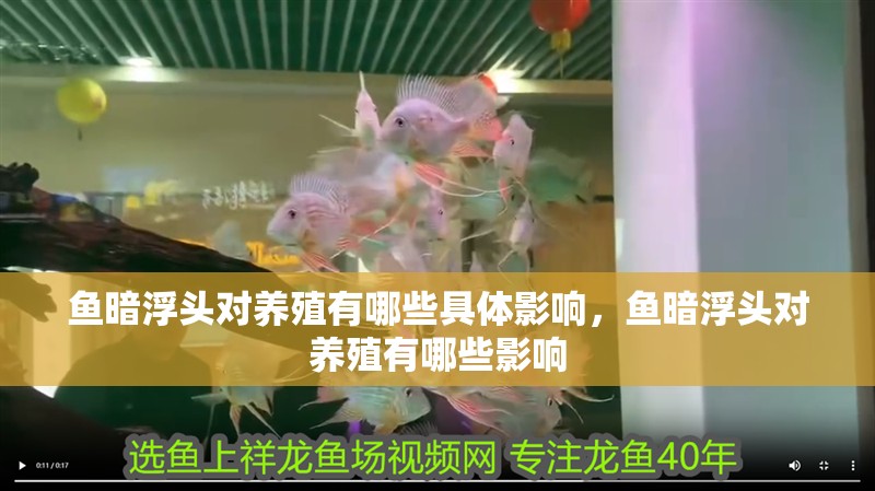 魚暗浮頭對養殖有哪些具體影響，魚暗浮頭對養殖有哪些影響