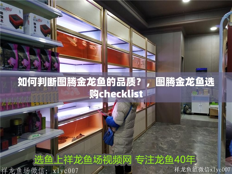 如何判斷圖騰金龍魚的品質(zhì)？，圖騰金龍魚選購checklist