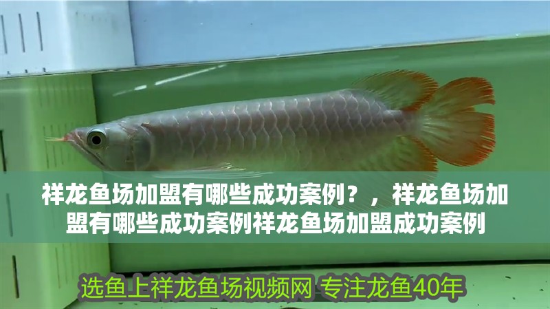 祥龍魚場加盟有哪些成功案例？，祥龍魚場加盟有哪些成功案例祥龍魚場加盟成功案例