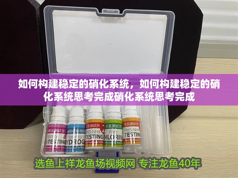 如何構建穩定的硝化系統,如何構建穩定的硝化系統思考完成硝化系統思考完成