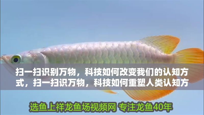 掃一掃識別萬物，科技如何改變我們的認知方式，掃一掃識萬物，科技如何重塑人類認知方式