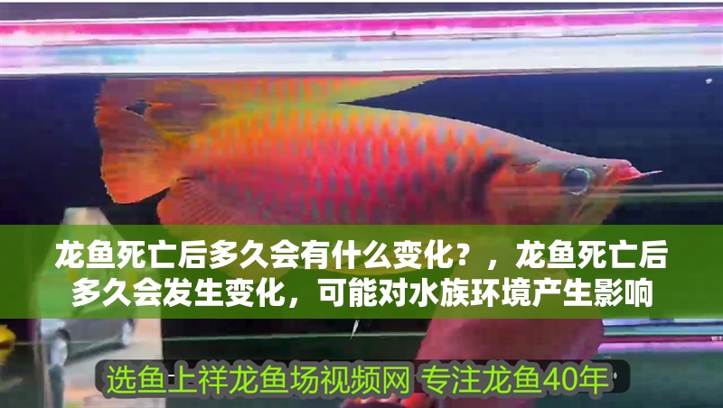 龍魚死亡后多久會有什么變化？，龍魚死亡后多久會發生變化，可能對水族環境產生影響