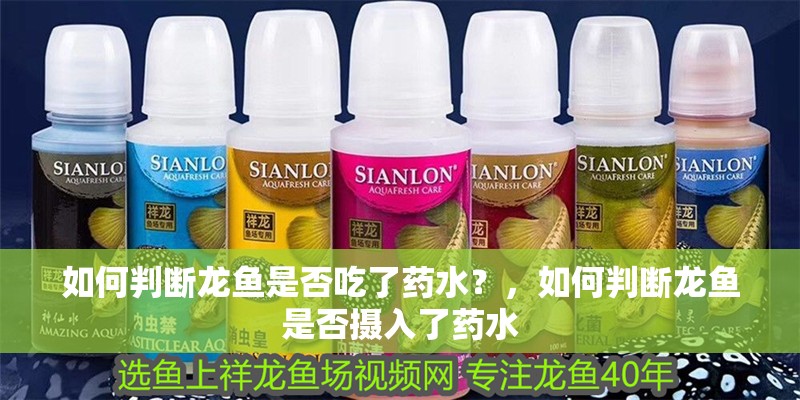 如何判斷龍魚是否吃了藥水？，如何判斷龍魚是否攝入了藥水