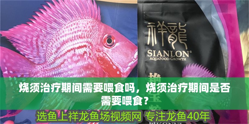 燒須治療期間需要喂食嗎,燒須治療期間是否需要喂食?