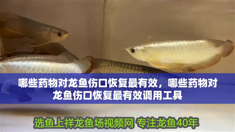 哪些藥物對龍魚傷口恢復(fù)最有效，哪些藥物對龍魚傷口恢復(fù)最有效調(diào)用工具