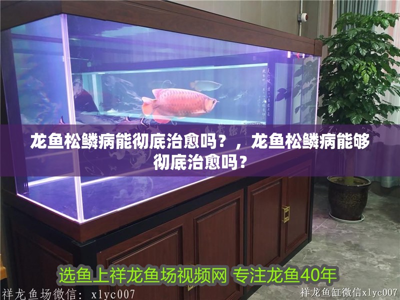 龍魚松鱗病能徹底治愈嗎？，龍魚松鱗病能夠徹底治愈嗎？